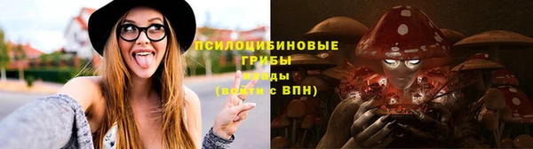 трава Коряжма