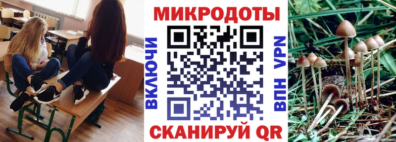 Псилоцибиновые грибы прущие грибы  закладка  KRAKEN ССЫЛКА  Каневская 